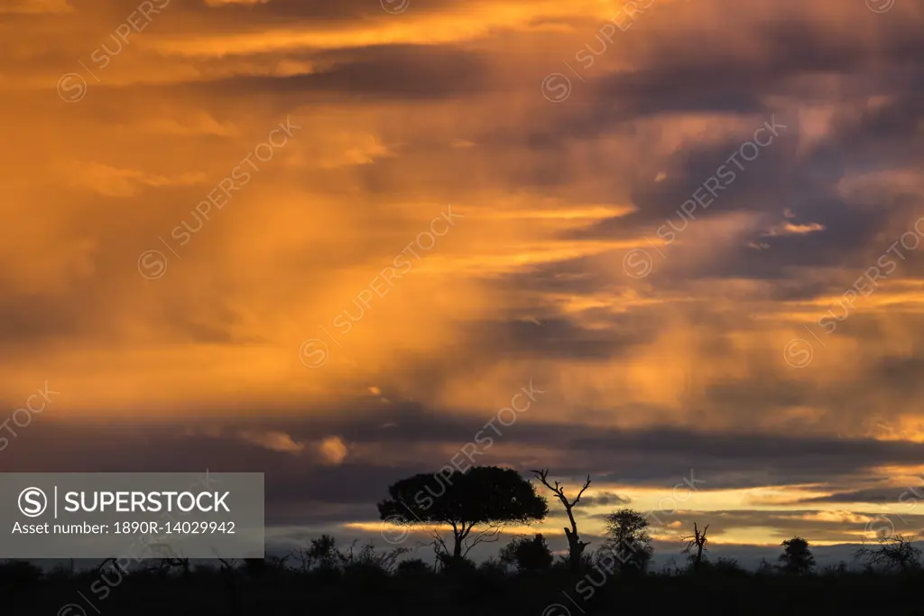 Sunset over Kruger National Park, South Africa, Africa