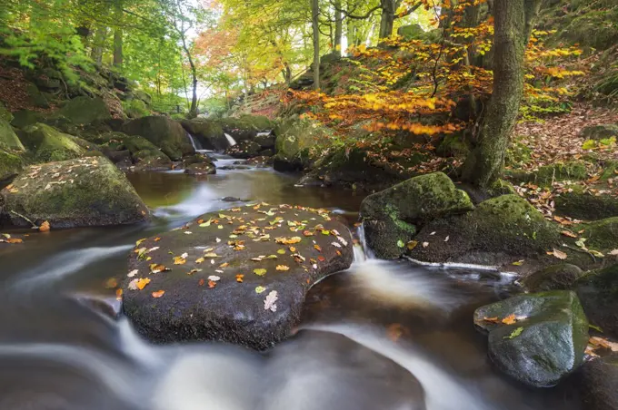 Padley Gorge in autumn, Peak District National Park, Derbyshire, England, United Kingdom, Europe