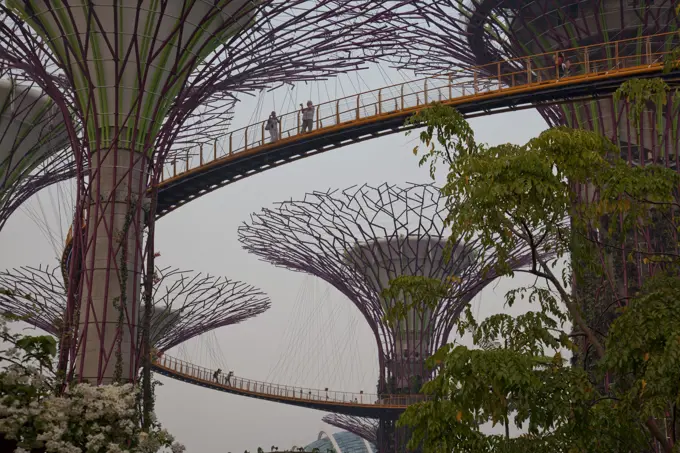 Tourists visit the Sky Walk at Gardens by the Bay in Singapore, Southeast Asia, Asia