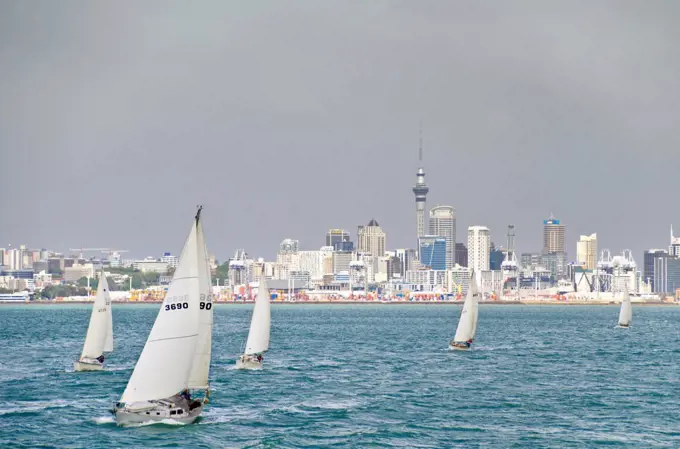 Auckland, North Island, New Zealand, Pacific