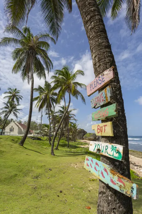 Beach, Bathsheba, St. Joseph, Barbados, West Indies, Caribbean, Central America