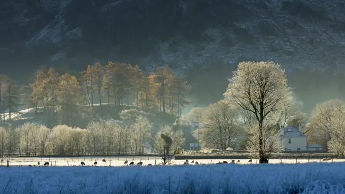 Hoar frost over Stonethwaite village in Borrowdale, Lake District National Park, Cumbria, England, United Kingdom, Europe