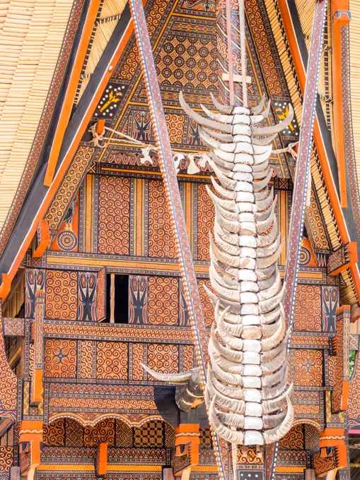 Traditional painted house front with water buffalo horns, Tana Toraja, Sulawesi, Indonesia, Southeast Asia, Asia