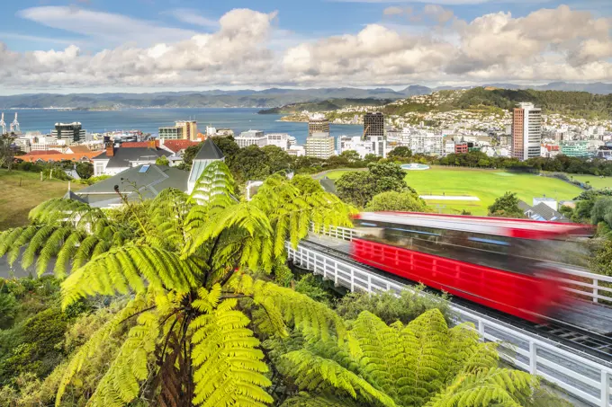 Cable Car, view over Wellington, North Island, New Zealand, Pacific