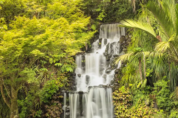 Waterfall in Pukekura Park, botanical garden, New Plymouth, Taranaki, North Island, New Zealand, Pacific