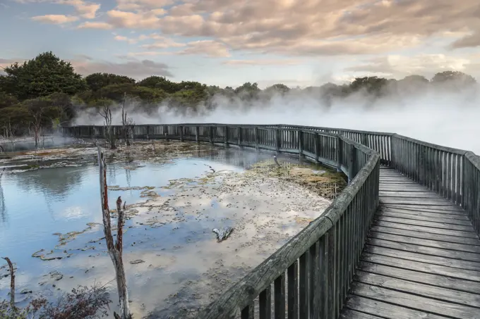 Kuirau Park, geothermics, Rotorua, Bay of Plenty, North Island, New Zealand, Pacific