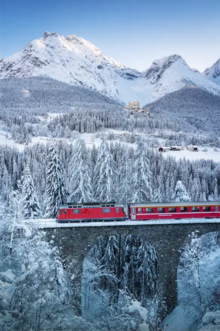 Bernina Express train in the winter forest covered with snow surrounding Tarasp Castle, Engadine, Graubunden Canton, Switzerland,  Europe