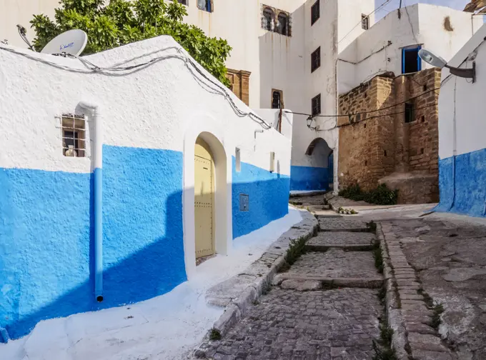 Rue Bazou, blue street in Kasbah of the Udayas, Rabat, Rabat-Sale-Kenitra Region, Morocco, North Africa, Africa