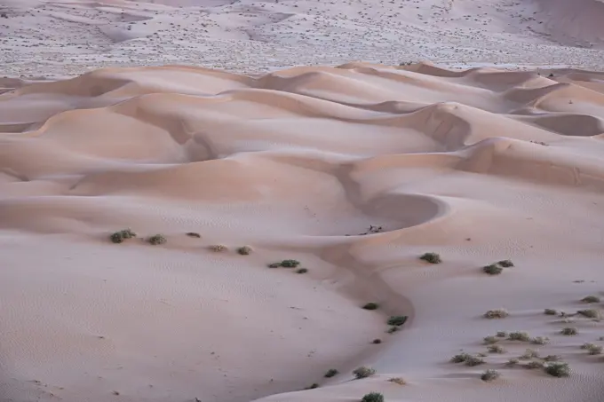 Sand dunes detail before dawn in the Rub al Khali desert, Oman, Middle East