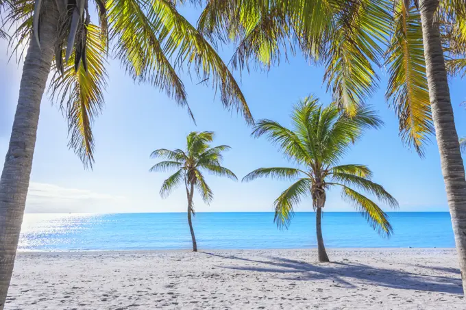 Smathers Beach, Key West, Florida, United States of America, North America