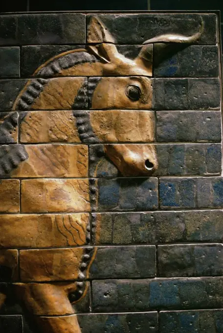 Babylonian wall tiles, Babylon, Iraq, Middle East