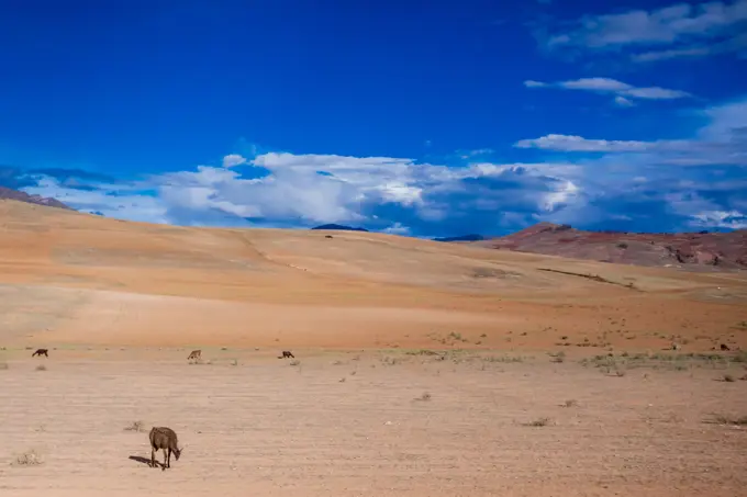 Peruvian landscape, Peru, South America