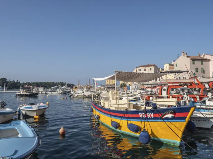 Colourful boat in the harbour, Rovinj, Istria, Croatia, Europe