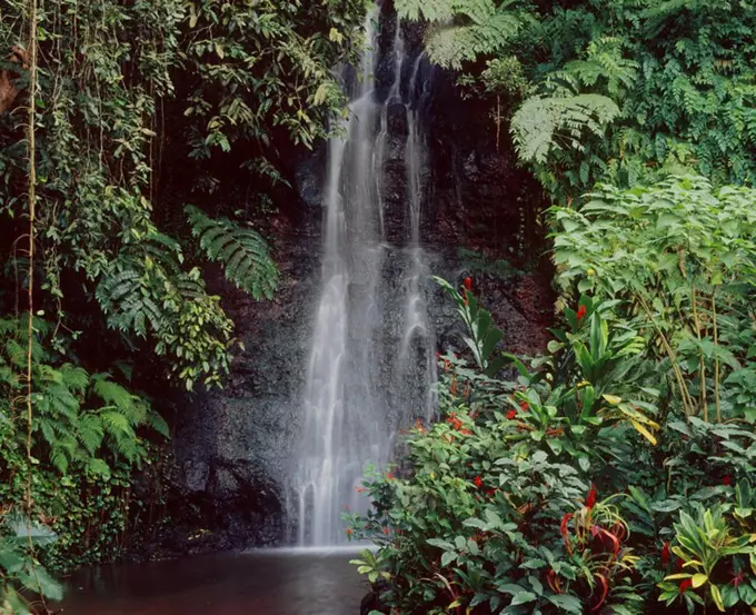 Waterfall in Botanic Garden in Tahiti, Society Islands, French Polynesia, Pacific