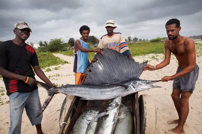 Fishermen with their catch, Malindi, Kenya, East Africa, Africa