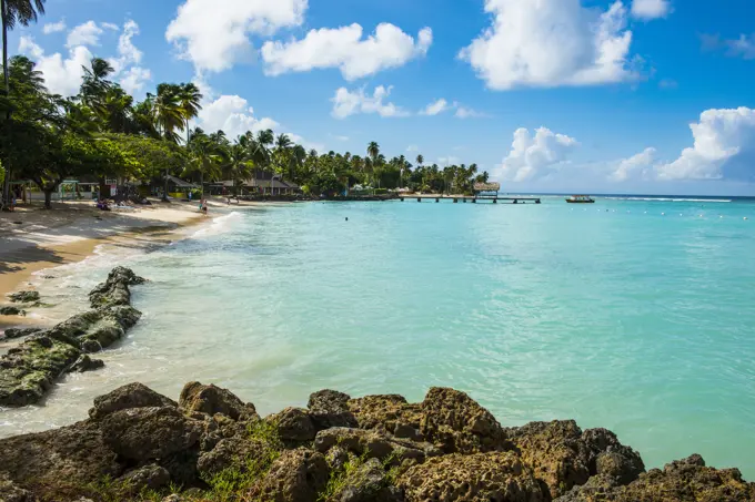 Sandy beach and palm trees of Pigeon Point, Tobago, Trinidad and Tobago, West Indies, Caribbean, Central America