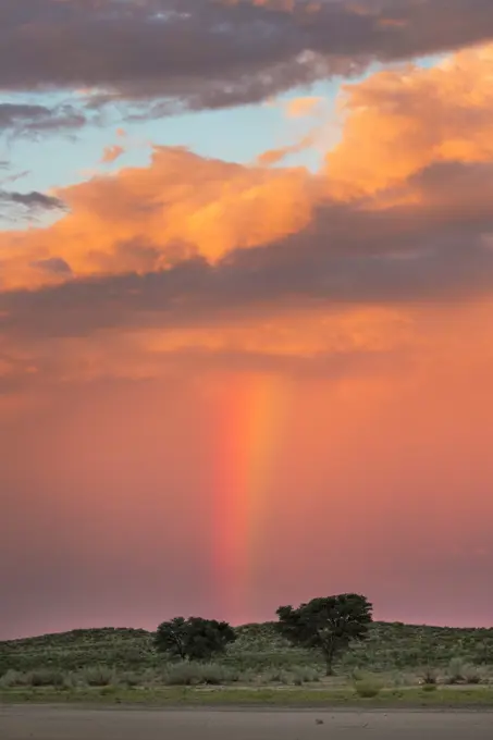 Sunset and storm over Kgalagadi Transfrontier Park, Northern Cape, South Africa, Africa