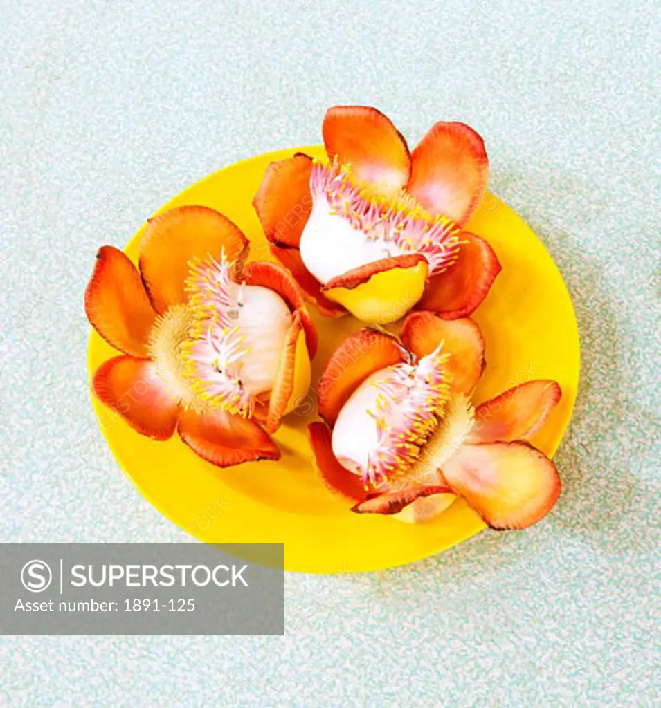 Flowers on a plate, Myanmar