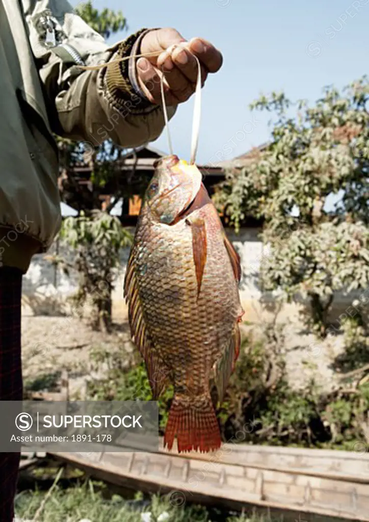 Mid section view of a man holding a fish, Myanmar