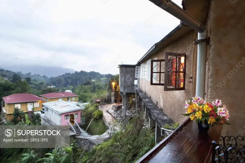 Houses in a town, Jamaica