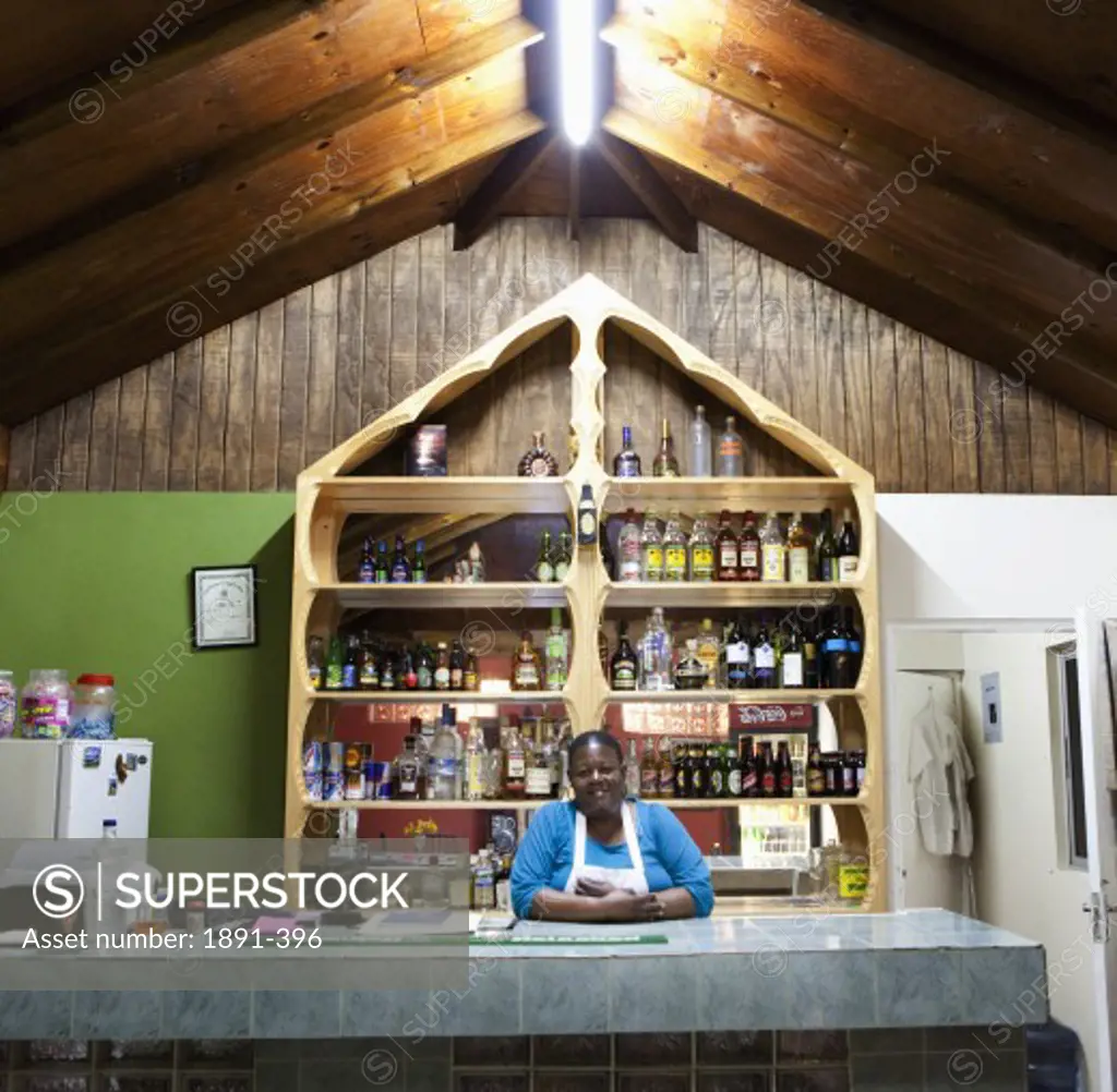 Bartender at the counter in a bar, Jamaica