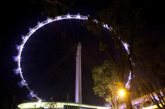 Low angle view of a ferris wheel lit up at night, Singapore