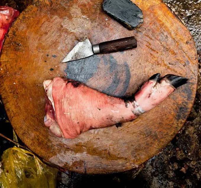 High angle view of a pig trotter on a butcher block, Myanmar