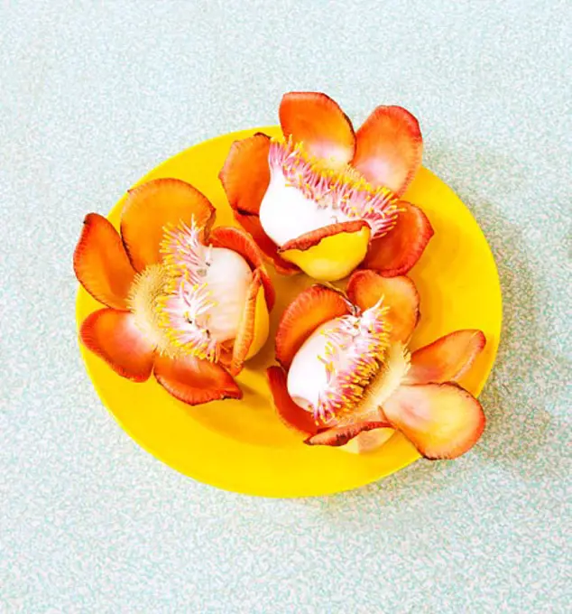 Flowers on a plate, Myanmar