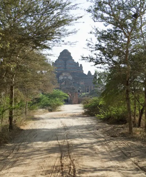 Dirt road leading towards a temple, Dhammayangyi Temple, Bagan, Myanmar