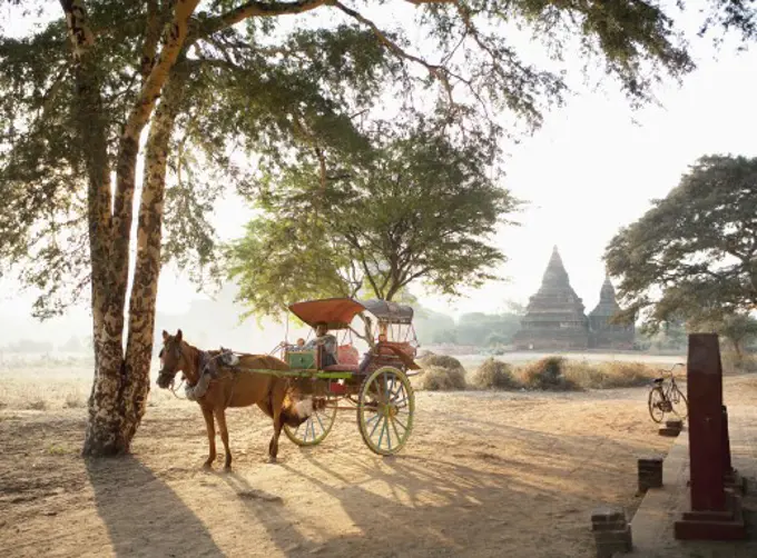 Man in a horse cart, Myanmar