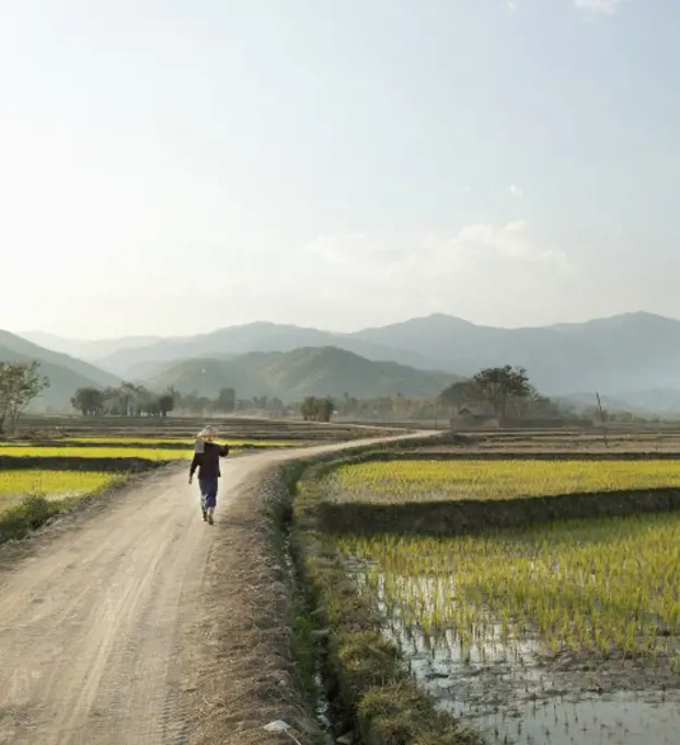 Myanmar, Farmer walking on dirt road