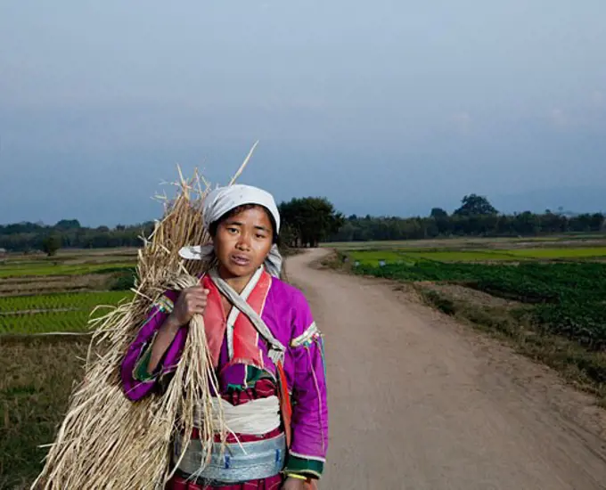 Ang Woman carrying a bundle of straw, Myanmar