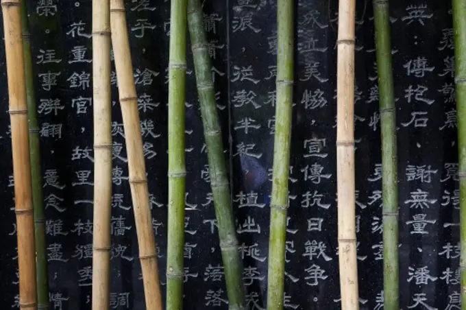 Close-up of bamboos with Chinese script, China