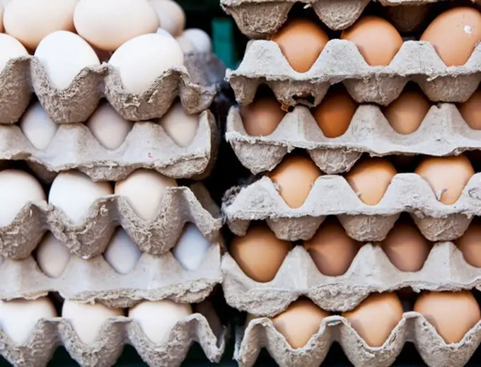 Stack of egg trays, Tibet,