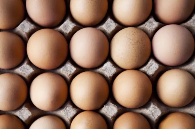 Close-up of brown eggs