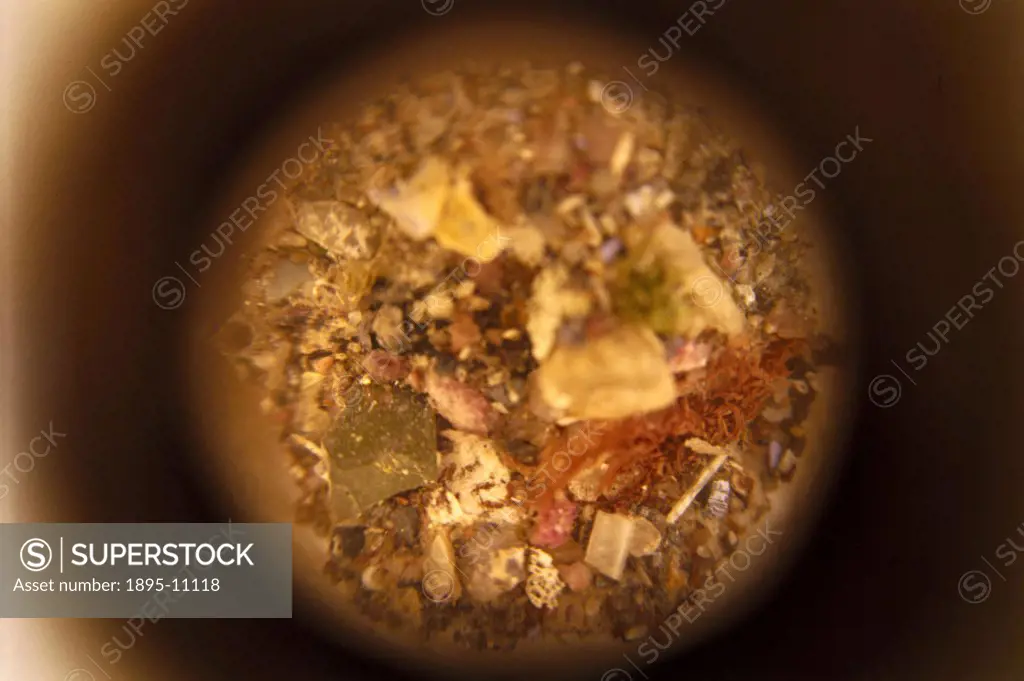 Peep Egg, 19th century. Detail of the grotto of stone crystals and seaweed set inside the peep egg with scenes of Great Yarmouth. By turning the alaba...