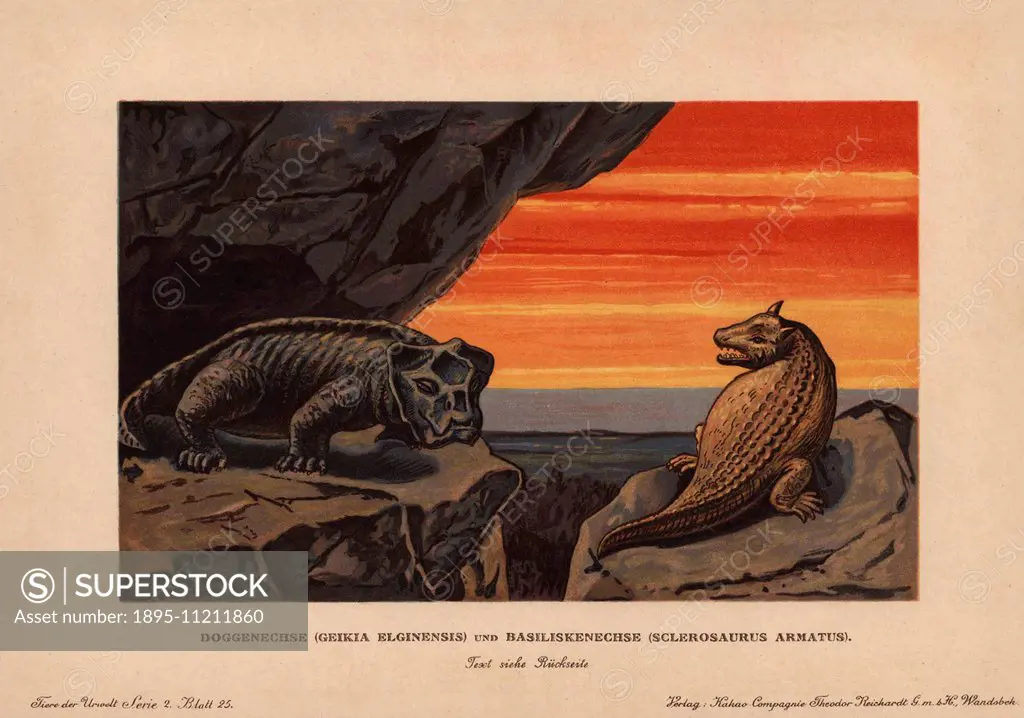 Geikia elginensis, extinct genus of non-mammalian synapsid, and Sclerosaurus armatus, extinct genus of sauropsid. Colour printed (chromolithograph) il...