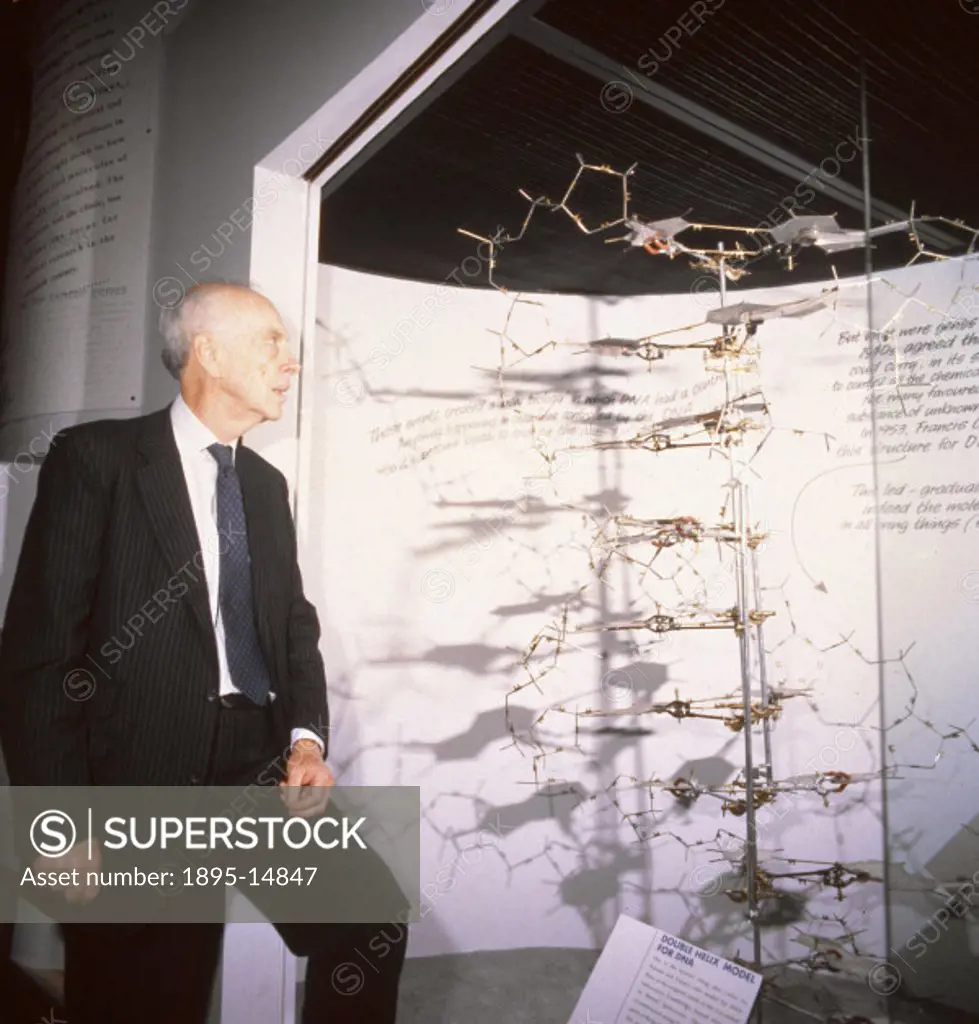 James Dewey Watson (b 1928) discovered the structure of DNA with Francis Crick (b 1916), in the Cavendish Laboratory, Cambridge in 1953. The model sho...