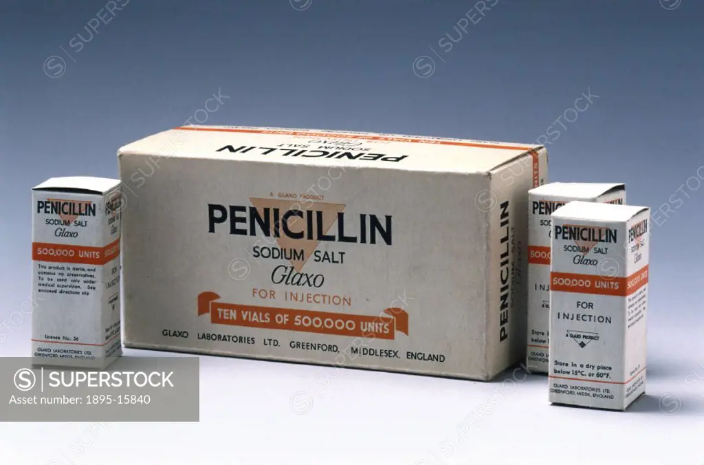 In 1928 Alexander Fleming (1881-1955) discovered that the Penicillium mould produced a substance toxic to bacteria, which he called penicillin. ln 194...