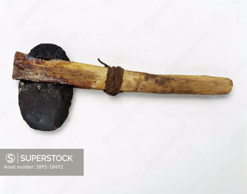 This modern reproduction axe has a flat oval-shaped blade very similar to the oval implement used by our ancient ancestors. It is hafted by being set ...