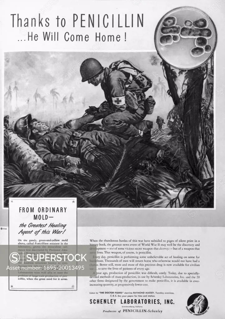 Copy of advertisement by Schelney Laboratories, Inc. from Life magazine, August 14, 1944, p97, 'Thanks to Penicillin... He Will Come Home!'