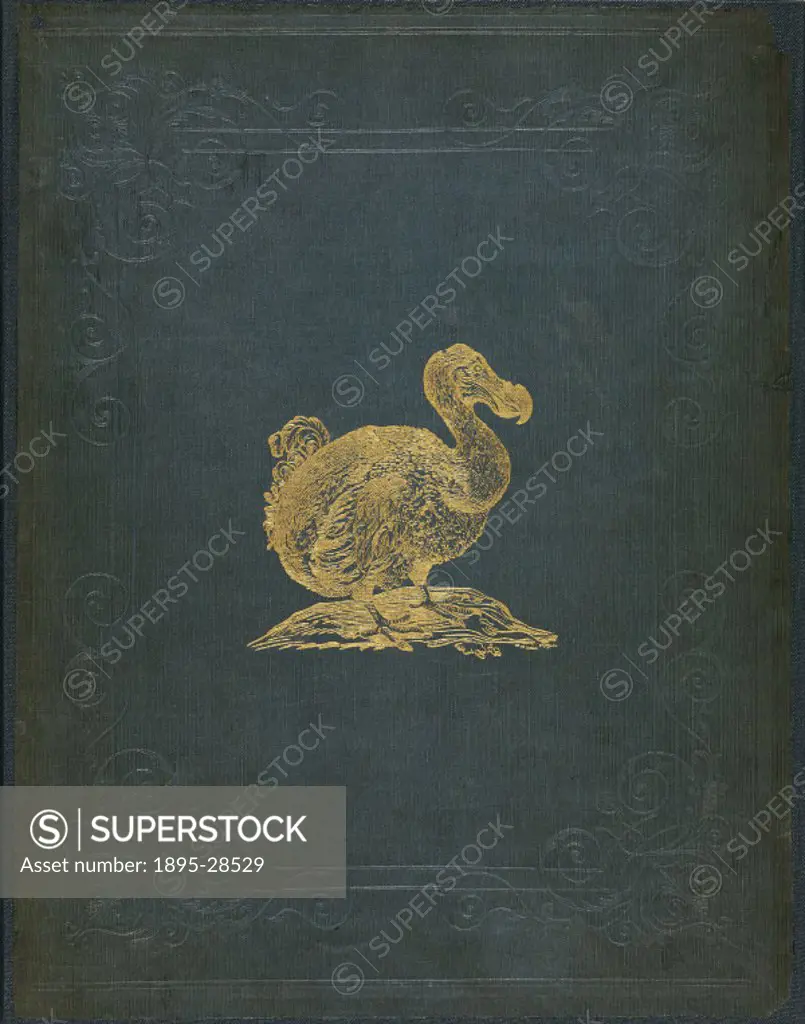 The dodo (possibly from the Dutch ´dodoor´ meaning sluggard) and solitaire were hunted to extinction by Europeans and the domestic pets they introduce...