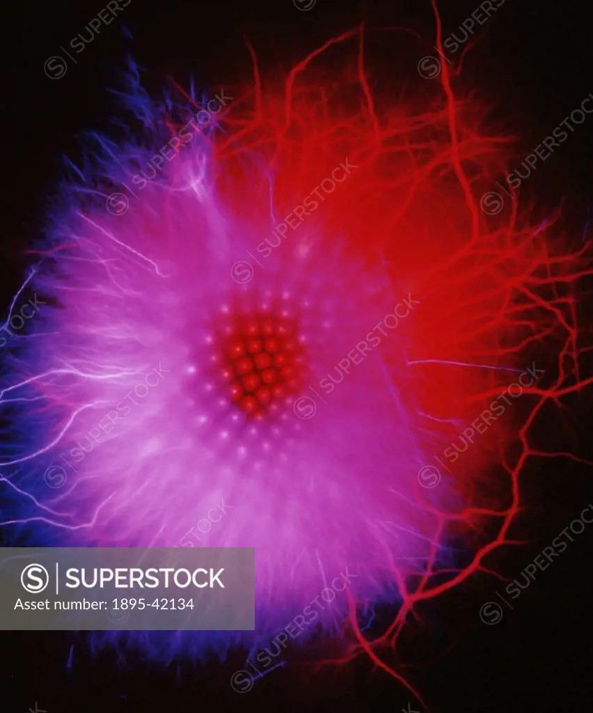 Kirlian photograph of a thistle. The process of Kirlian photography is named after Seymon Kirlian, an amateur inventor and electrician of Krasnodar, R...