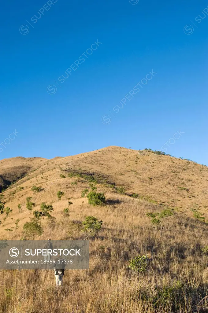 Mavuradona Safari Area, Mashonaland East, Zimbabwe