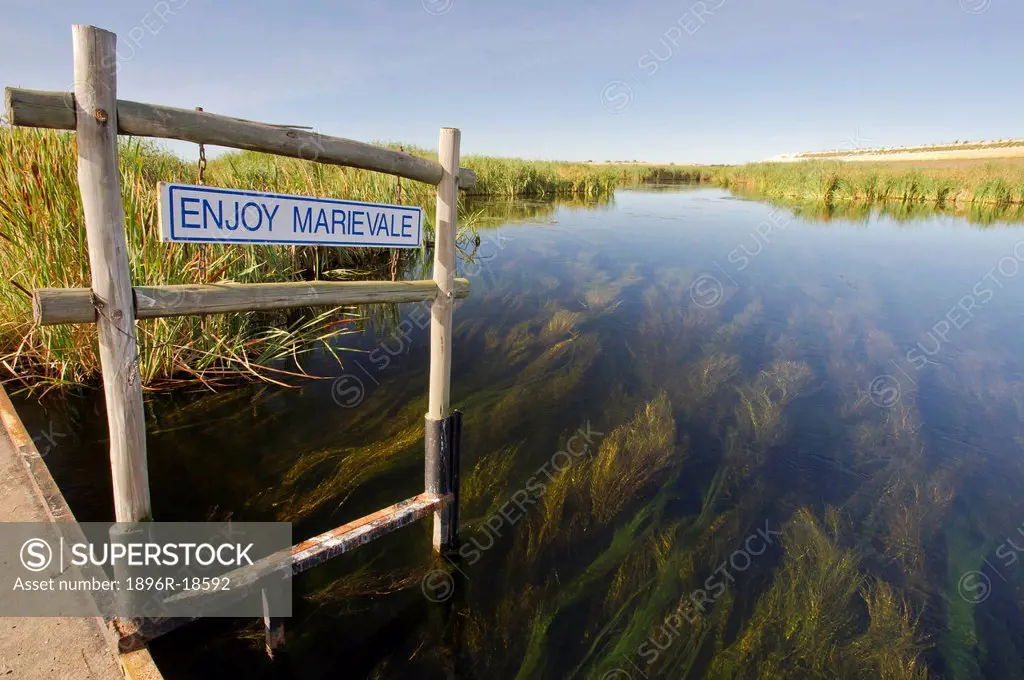 A spruit flows through the Marievale Bird Sanctuary _ a RAMSAR wetland and Important Bird Area. Marievale Bird Sanctuary, Gauteng, South Africa