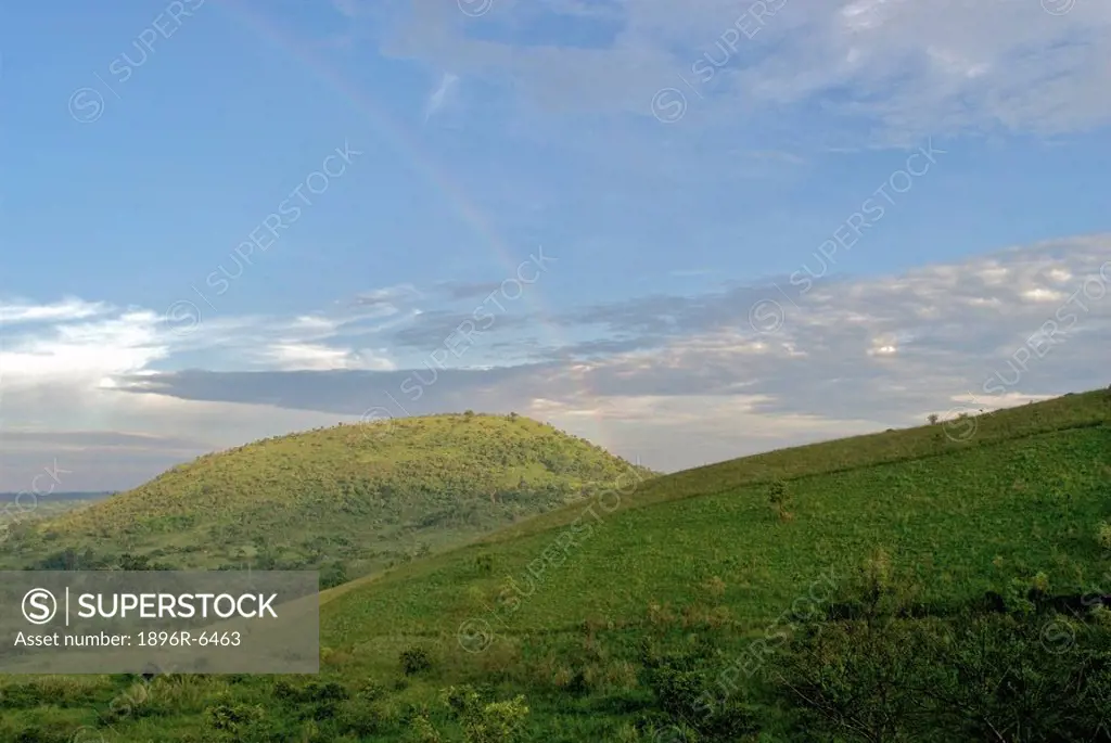 Rolling hills of Uganda, Africa