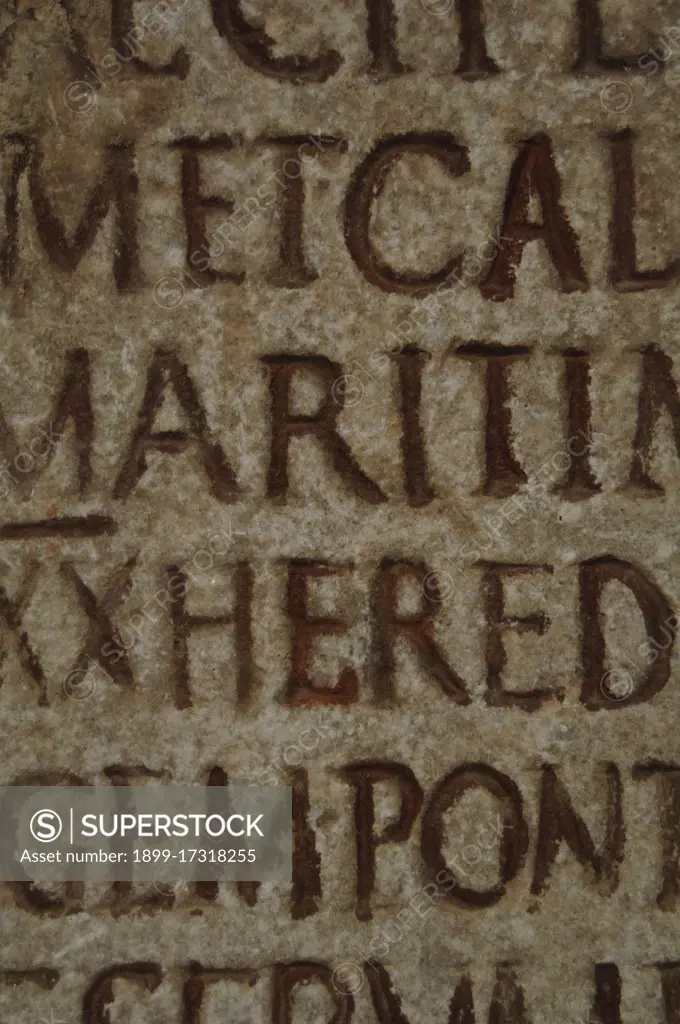 Praefectus annonae (Prefect of the Provisions). Roman imperial offficial charged with the supervision of the grain supply to the city of Rome. The inscription, base on the reconstruction of an ancient manuscript, was placed for the prefect C. iunius Favianus, from the African wheat and oil traders (afrari), into the statio annonae. National Roman Museum (Baths of Diocletian). Rome, Italy.