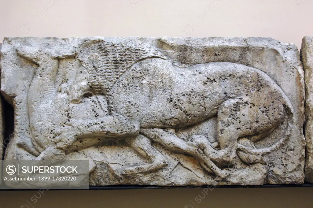 Early Classical. Late Archaic. Lion killing dder form the  Satyr hunting wils animals. From the animal frieze that used to run around the top of the podium suporting  Building G. Acropolis Xanthos. Lycia. Turkey. Made during the reigh of King Kuprlli (480-440BC). British Museum. London. England. United Kingdom.