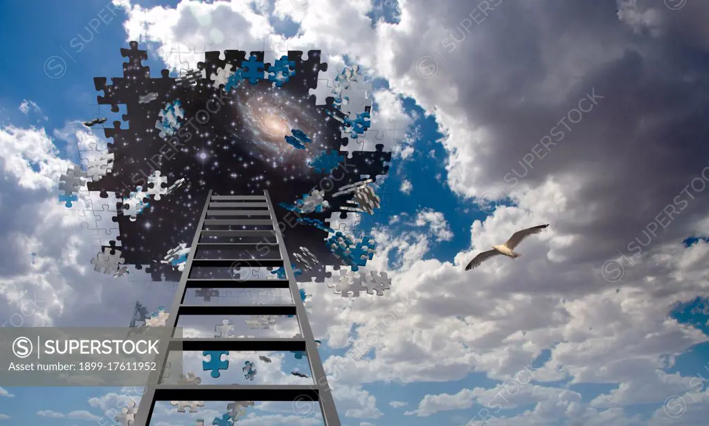 Puzzle Piece Hole in Sky and Ladder