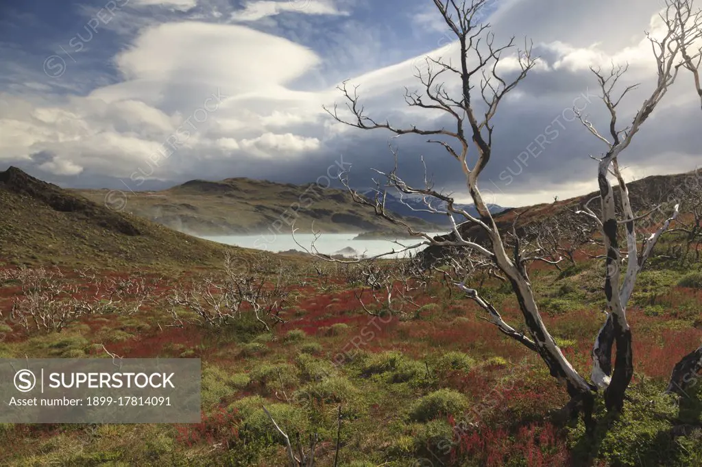 Lake, Torres Del Paine National Park, Chile